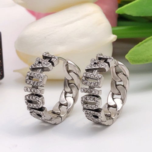 Dior Luxury Womens Earrings