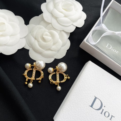Dior Luxury Womens Earrings