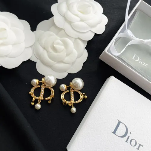 Dior Luxury Womens Earrings