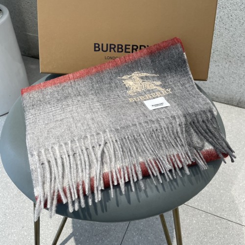 Burberry Scarves Womens Fashion Scarf209