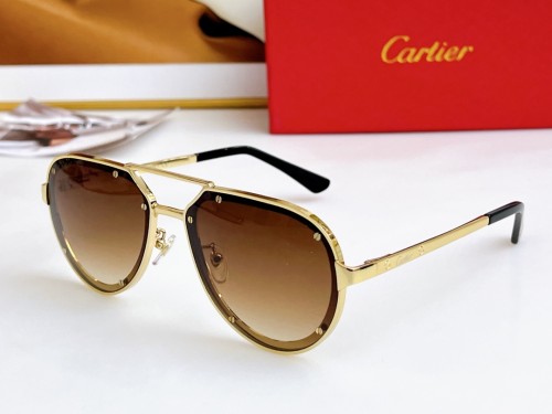 Cartier Sunglasses Luxury Brand Men Womens Sunglasses with Original Box  CT0195S