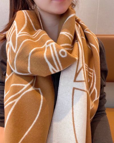 Hermes Scarves Womens Fashion Scarf Shawl 279