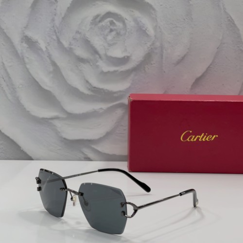 Cartier Sunglasses Luxury Brand Men Womens Sunglasses with Original Box  CT00686