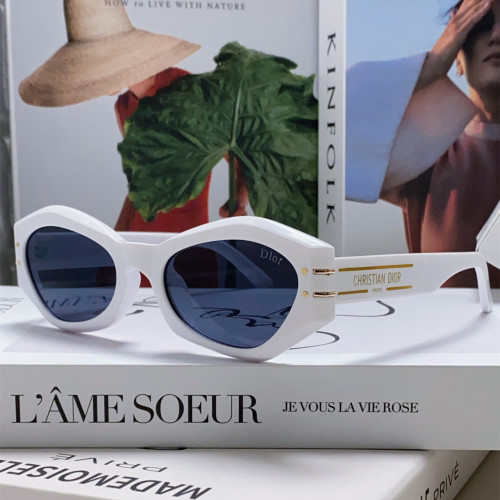 Dior Sunglasses Luxury Brand Men Womens Sunglasses DiorSignature B1U with Original Box  
