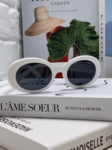 Celine Sunglasses Luxury Brand Womens Sunglasses with Original Box  CL40194
