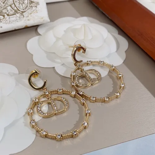 Dior Luxury Womens Earrings