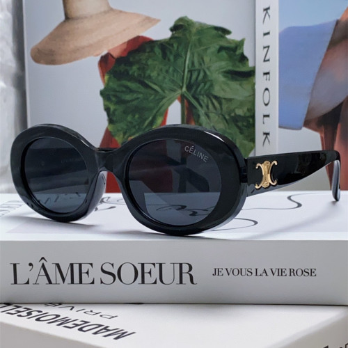 Celine Sunglasses Luxury Brand Womens Sunglasses with Original Box  CL40194