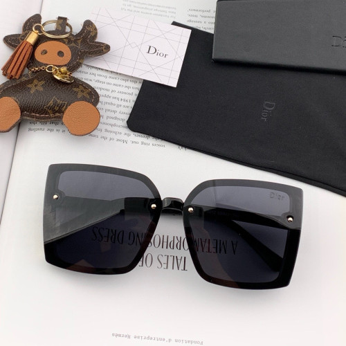 Dior Sunglasses Luxury Brand Womens Sunglasses with Original Box  CD2985