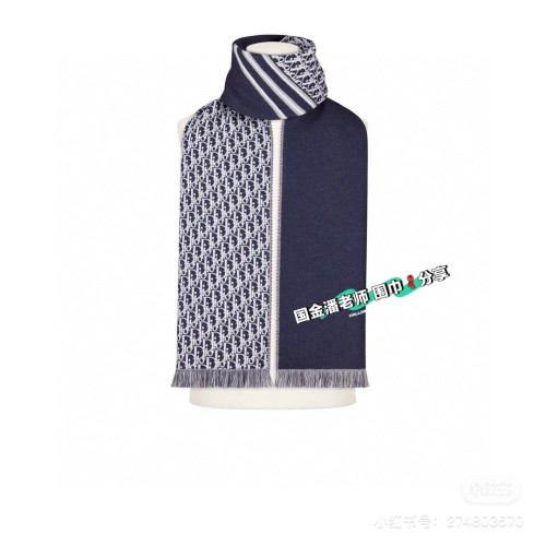 Dior Scarves Womens Fashion Scarf with093