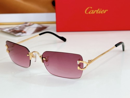 Cartier Sunglasses Luxury Brand Men Womens Sunglasses with Original Box   CT2452234