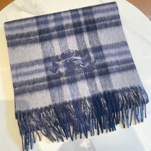 Burberry Scarves Womens Fashion Scarf089