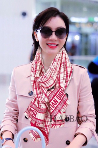 Dior Scarves Womens Fashion Scarf with102