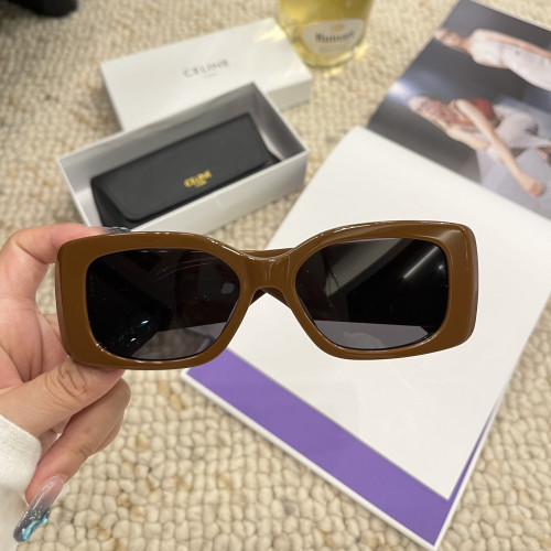 Celine Sunglasses Luxury Brand Womens Sunglasses with Original Box  CL40288