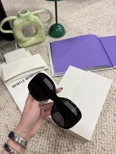 Celine Sunglasses Luxury Brand Womens Sunglasses with Original Box  CL40500