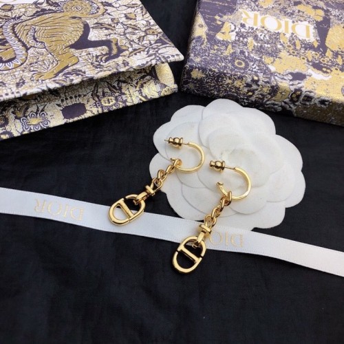 Dior Luxury Womens Earrings
