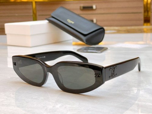 Celine Sunglasses Luxury Brand Womens Sunglasses with Original Box  CL 40314