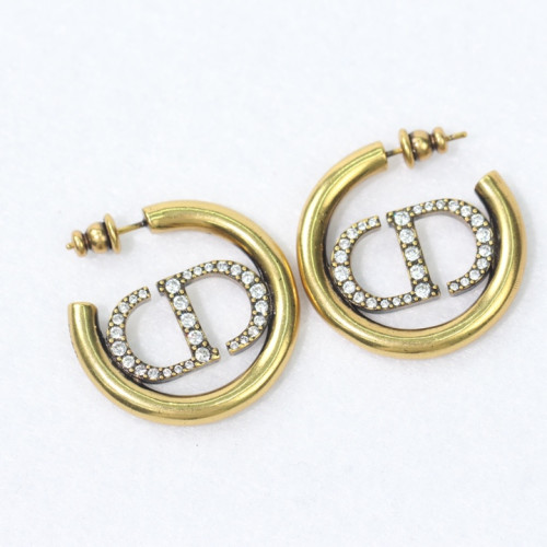 Dior Luxury Womens Earrings