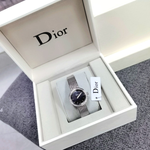 Dior Watch011