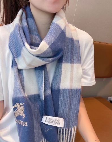Burberry Scarves Womens Fashion Scarf221