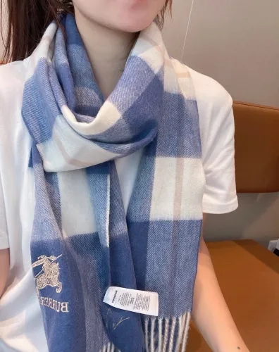 Burberry Scarves Womens Fashion Scarf221