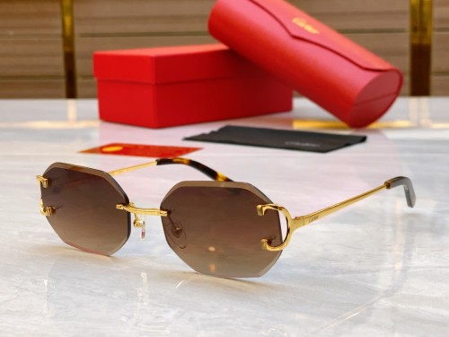 Cartier Sunglasses Luxury Brand Men Womens Sunglasses with Original Box  CT0091O