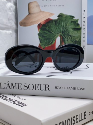 Celine Sunglasses Luxury Brand Womens Sunglasses with Original Box  CL40194