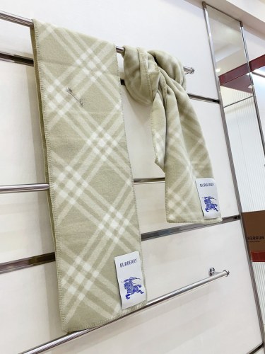 Burberry Scarves Womens Fashion Scarf019