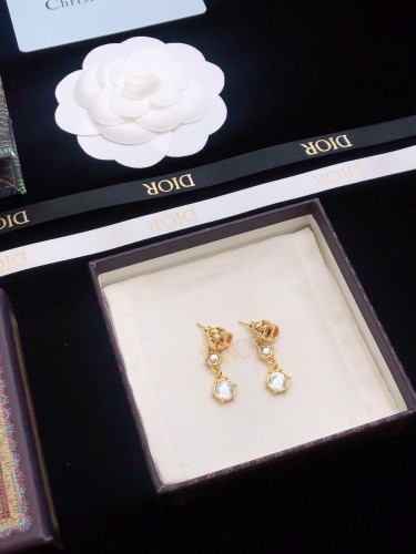 Dior Luxury Womens Earrings