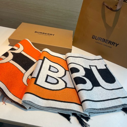 Burberry Scarves Womens Fashion Scarf059