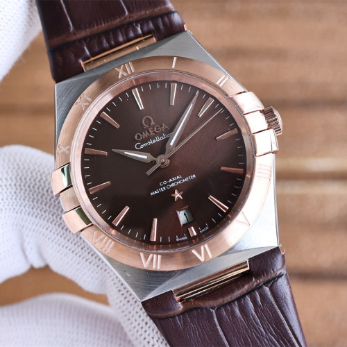 Omega Watch313