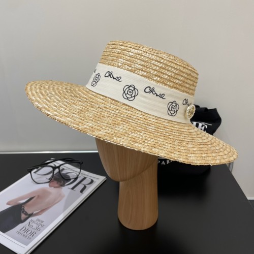 Celine Womens Hats Luxury Brand Design Celine Straw Hat with Original Box  