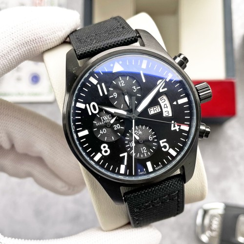 IWC Watch010