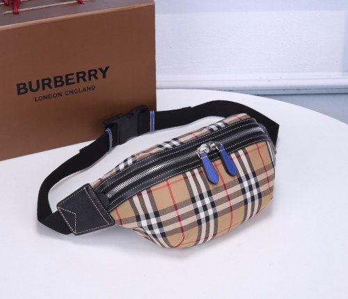 Burberry Womens Mens Bags Bumbag Belt Bags Luxury Brand Design Fashion Type with Original Box  