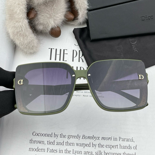 Dior Sunglasses Luxury Brand Womens Sunglasses with Original Box  CD1615