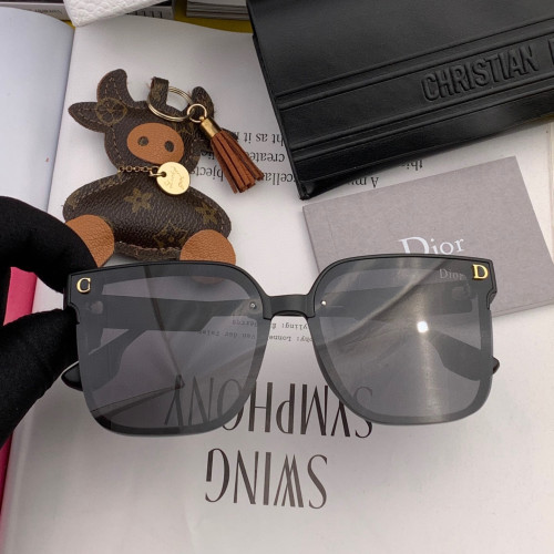 Dior Sunglasses Luxury Brand Womens Sunglasses with Original Box  CD4770