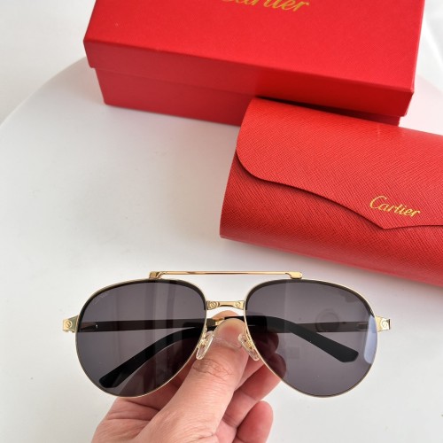 Cartier Sunglasses Luxury Brand Men Womens Sunglasses with Original Box   CT0354/S