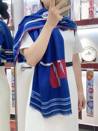 Hermes Scarves Womens Fashion Scarf Shawl 047