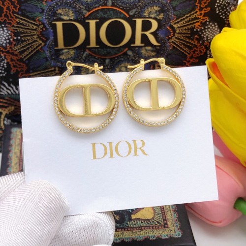 Dior Luxury Womens Earrings