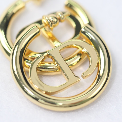 Dior Luxury Womens Earrings
