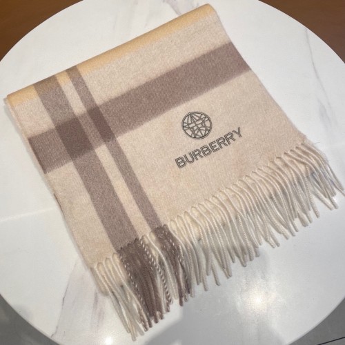 Burberry Scarves Womens Fashion Scarf064