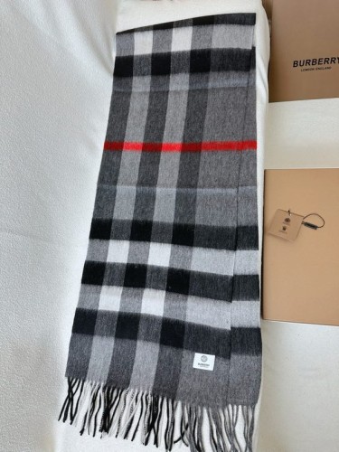 Burberry Scarves Womens Fashion Scarf014