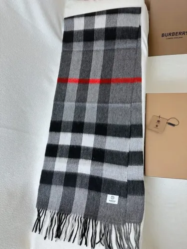 Burberry Scarves Womens Fashion Scarf014