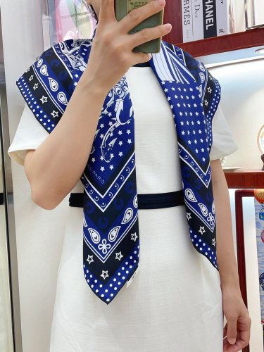 Hermes Scarves Womens Fashion Scarf Shawl 089