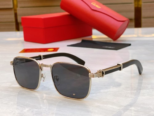 Cartier Sunglasses Luxury Brand Men Womens Sunglasses with Original Box  CT0363S