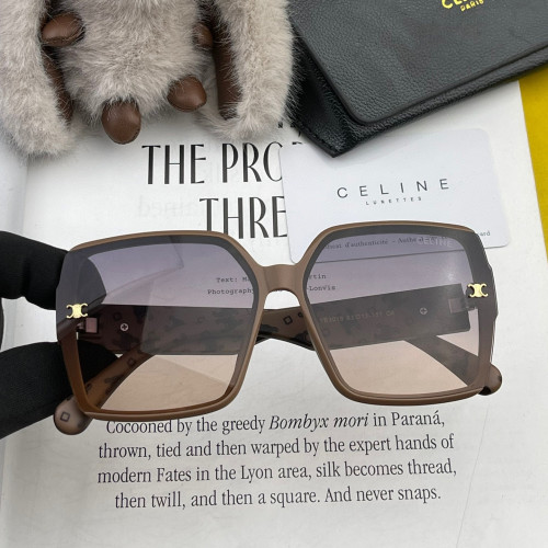 Celine Sunglasses Luxury Brand Womens Sunglasses with Original Box  SL9301
