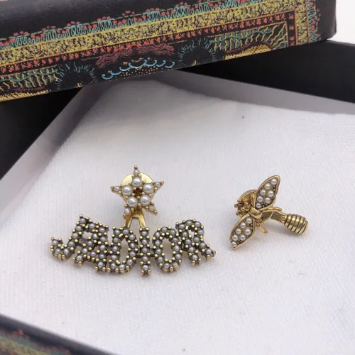 Dior Luxury Womens Earrings