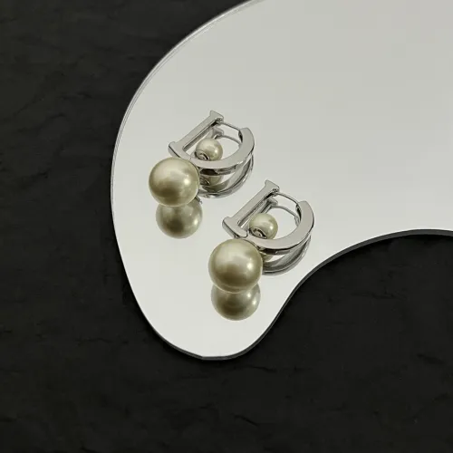 Dior Luxury Womens Earrings