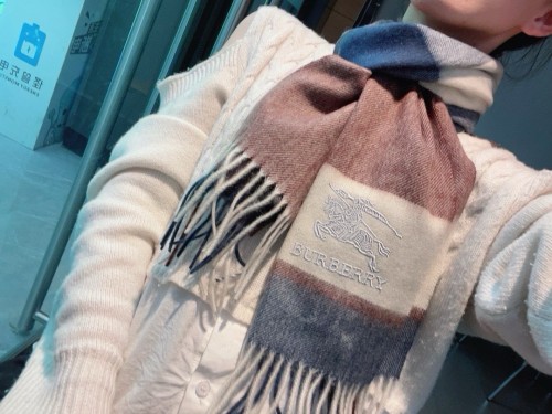 Burberry Scarves Womens Fashion Scarf057