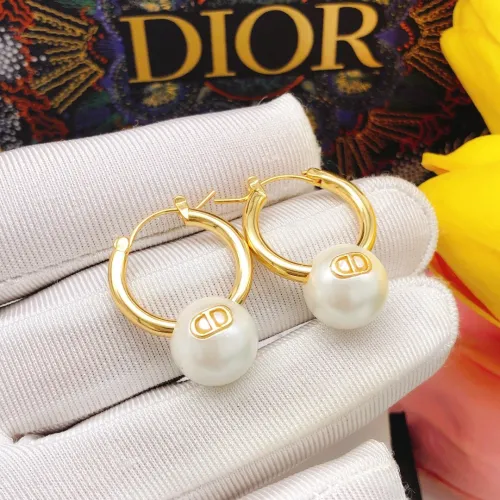 Dior Luxury Womens Earrings