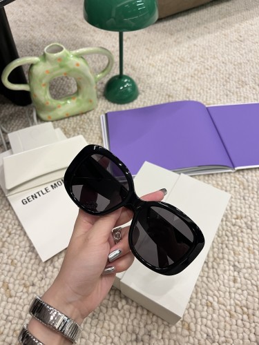 Celine Sunglasses Luxury Brand Womens Sunglasses with Original Box  CL40500